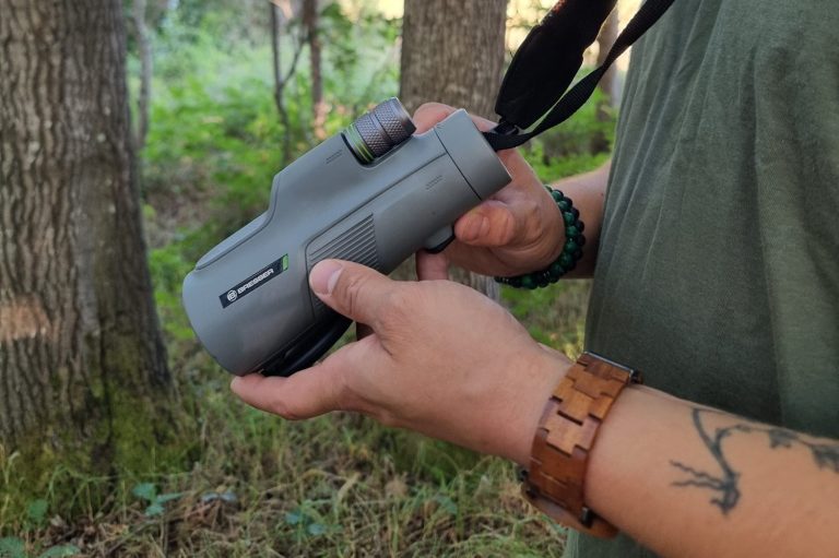 Umweltplanerische Leistung - Weitere Arten und Artengruppen