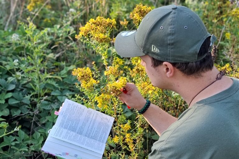 Umweltplanerische Leistung - Vegetationsaufnahme